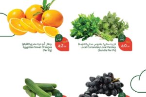 عروض الورقيات في بنده