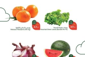 عروض البطيخ في بنده
