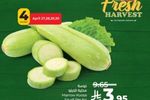 عروض لولو الدمام