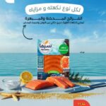 عروض بنده