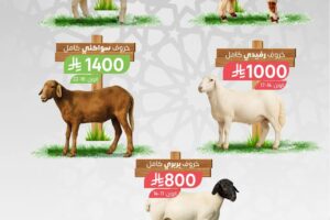 عروض أسواق المزرعة