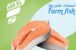 عروض أسواق المزرعة