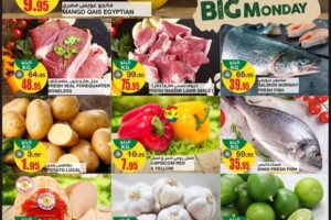 عروض السدحان