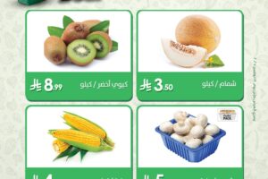 عروض الدانوب