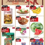 عروض مانويل جده