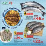 عروض لولو تبوك