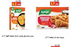 عروض العقيل