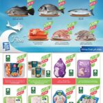 عروض المزرعة