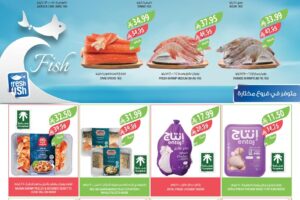 عروض المزرعة