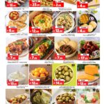 عروض المدينة