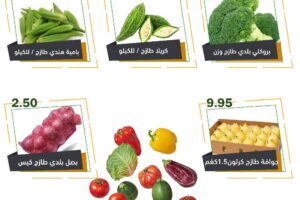 عروض العقيل