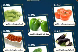 عروض العقيل