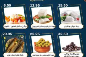 عروض العقيل