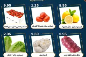 عروض العقيل