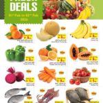 عروض ليان هايبر