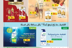 عروض بن داود