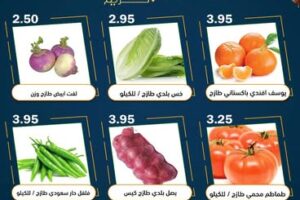 عروض العقيل