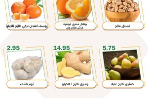 عروض العقيل