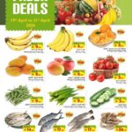 عروض ليان هايبر