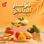عروض بنده