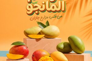 عروض بنده