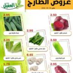 عروض العقيل
