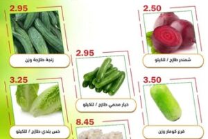 عروض العقيل