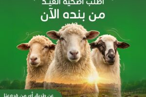 عروض بنده