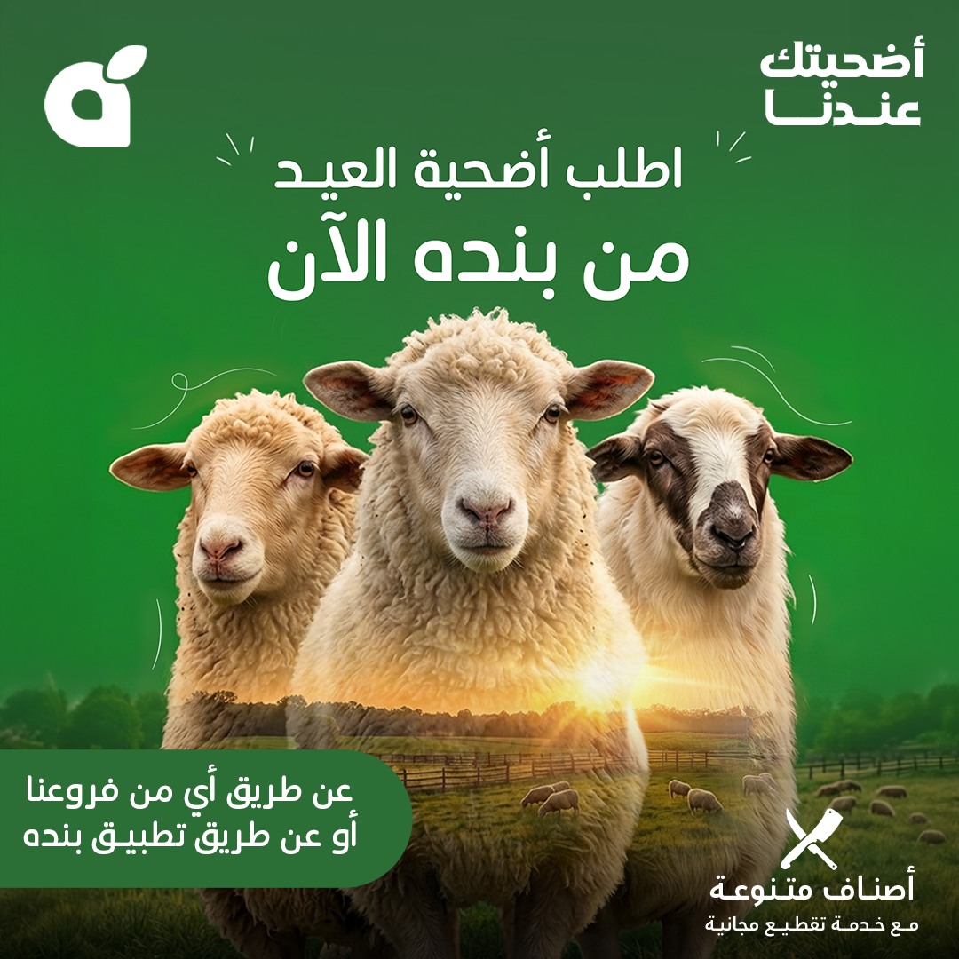 عروض بنده 