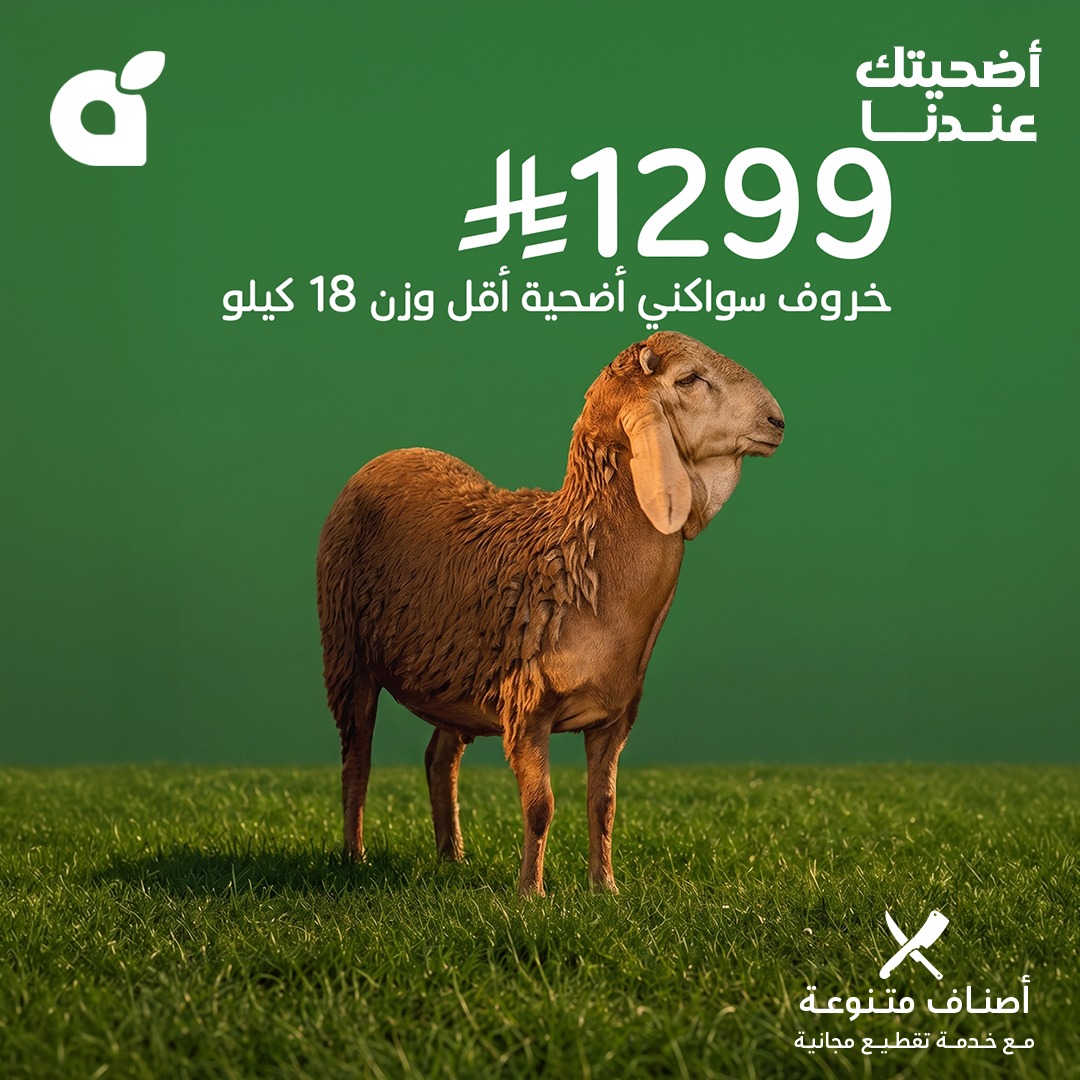 عروض بنده 