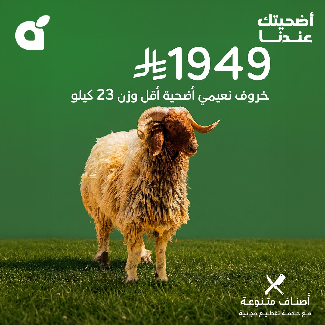 عروض بنده 
