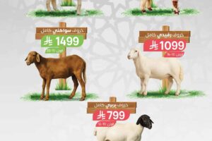 عروض أسواق المزرعة