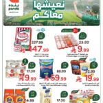 عروض بنده