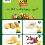 عروض بنده