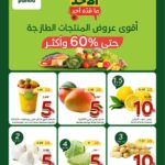 عروض بنده
