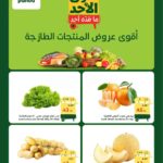 عروض بنده