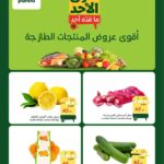 عروض بنده