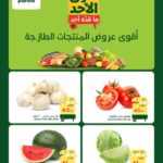 عروض بنده