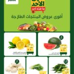 عروض بنده