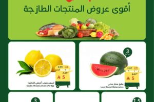عروض بنده