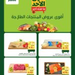 عروض بنده