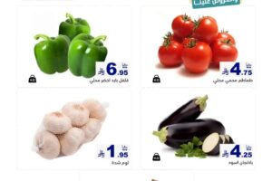 عروض رامز