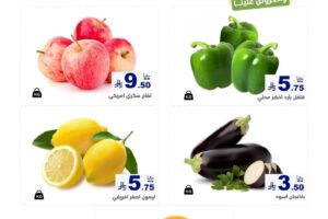 عروض رامز