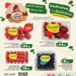 عروض لولو تبوك