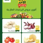 عروض بنده
