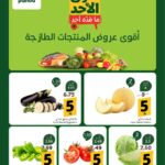 عروض بنده
